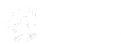 Spike Vintage